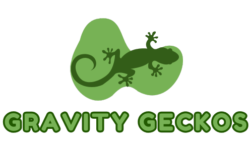 Gravity Gecko